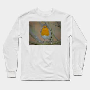 ROBIN GOCH! Long Sleeve T-Shirt